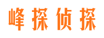 酉阳寻人公司